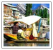 Jammu & Kashmir Tours