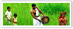 Kerala Tours