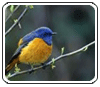 Bird Watching Tour Bird Watching Tour