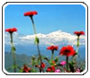 Uttarakhand Jewels