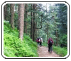 Uttarakhand Trip