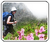 Valley of Flowers Trekking